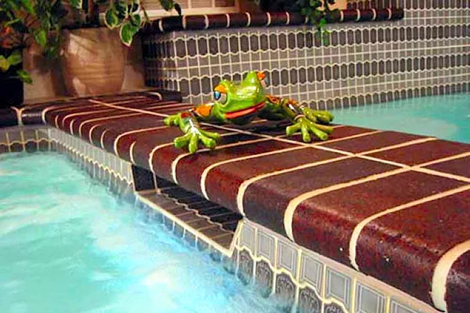 A frog figurine sitting on the brick coping beside the water